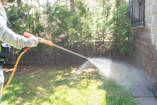 Best Flea Control Services  in Wolfforth, TX